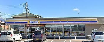 ���ӊ� �y�R���r�j�z�~�j�X�g�b�v�_����X�F494m