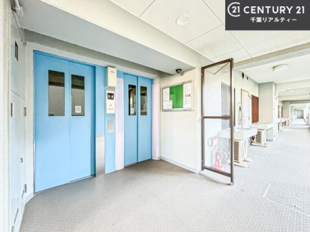 ���̑����p�� �G���x�[�^�[�͂�����񊮔��I��~�K�ł��I
���������ɔ�ꂽ���◼��ɂ��ו��ł��炭�炭�A��ł������ł��ˁB