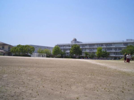 ���ӊ� �y���w�Z�z���P�Y�s�����Y���w�Z�F581m