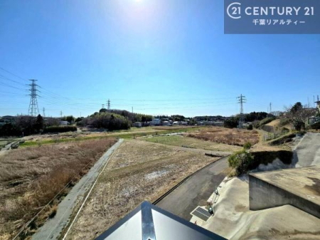 �Z�˂���̒��]�ʐ^ ���]�ǍD�ȃo���R�j�[�B���V�C�̂������ɂ̓o���R�j�[�ւłă��t���b�V������̂������ł��ˁI