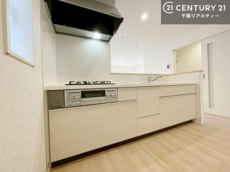 �L�b�`�� ��Ƃ����₷���V�X�e���L�b�`���ł��I���[����������t���Ă���̂ŁA�����X�y�[�X�ɕ���u���Ȃ��čςނ̂ŁA�L�X�g���āA���K�ɍ�Ƃ��ł��܂��I