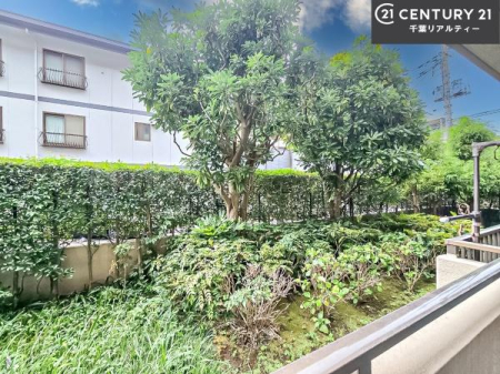 �Z�˂���̒��]�ʐ^ ������������Z��X�ł��I���͂ɂ͍����������Ȃ��A�󂪍L���J����������A�z�������傫���Ղ��邱�Ƃ�����܂���I�C�����̗ǂ������ʂ蔲����X���݂ł��I