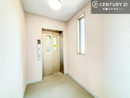 ���̑����p�� -