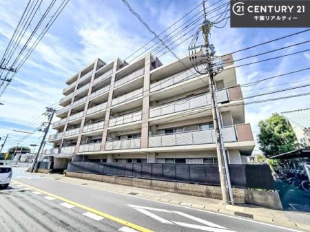 ���n�O�ώʐ^ �z������A���ʂ��ǍD�ȗ��n�I
���ӊ��⑼�������܂Ƃ߂Ă��ē��\�ł��I�s���Y�̎��Ȃ�ǂ�Ȏ��ł����C�y�ɂ����k���������B