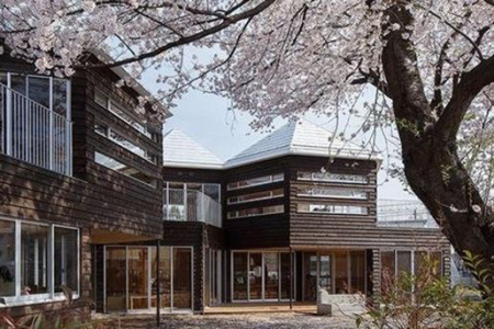 ���ӊ� �y�c�t���E�ۈ牀�z�܂Ȃт̐X�ۈ牀�D�����n��w�O�F957m