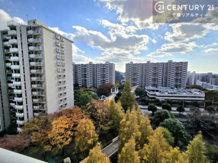 �Z�˂���̒��]�ʐ^ ���]�ǍD�ȃo���R�j�[�B���V�C�̂������ɂ̓o���R�j�[�ւłă��t���b�V������̂������ł��ˁI