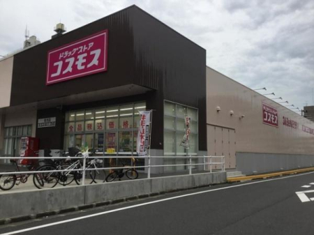 ���ӊ� �y�h���b�O�X�g�A�z�f�B�X�J�E���g�h���b�O�R�X���X�S���X�F666m