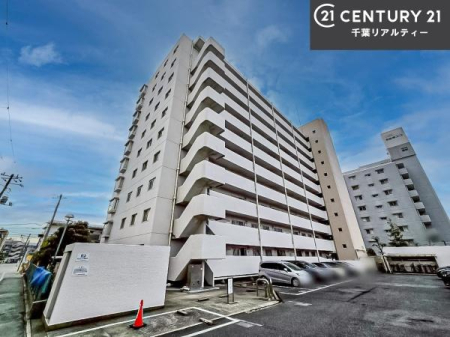 ���̑����n �u���̕����C�ɂȂ�I�v�u�������Ăǂ�ȏ��H�v�u�����Əڂ����m�肽���I�v�Ǝv������A���C�y�ɂ����k���������B