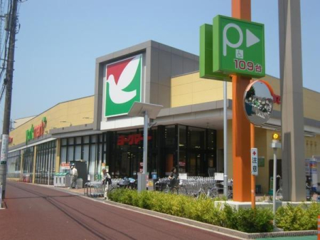 ���ӊ� �y�X�[�p�[�z���[�N�}�[�g�Ԍ���X�F1190m