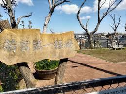 ���ӊ� �y�����z13����{��1�Βn�F542m