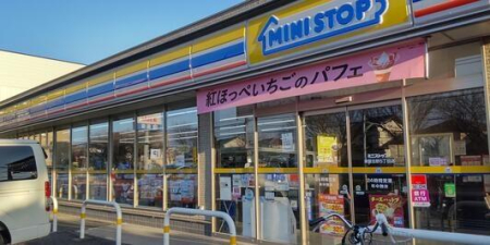 ���ӊ� �y�R���r�j�z�~�j�X�g�b�v���K�u��5���ړX�F260m