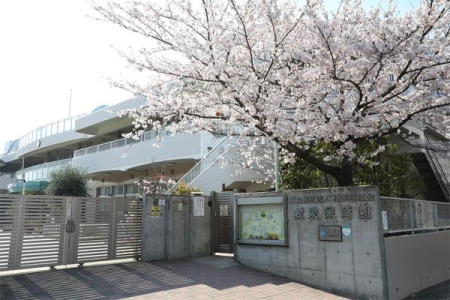 ���ӊ� �y�c�t���E�ۈ牀�z����ۈ牀�F590m