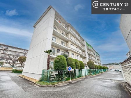 ���̑����n �u���̕����C�ɂȂ�I�v�u�������Ăǂ�ȏ��H�v�u�����Əڂ����m�肽���I�v�Ǝv������A���C�y�ɂ����k���������B