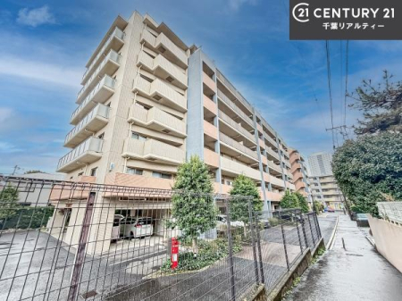 ���̑����n �u���̕����C�ɂȂ�I�v�u�������Ăǂ�ȏ��H�v�u�����Əڂ����m�肽���I�v�Ǝv������A���C�y�ɂ����k���������B