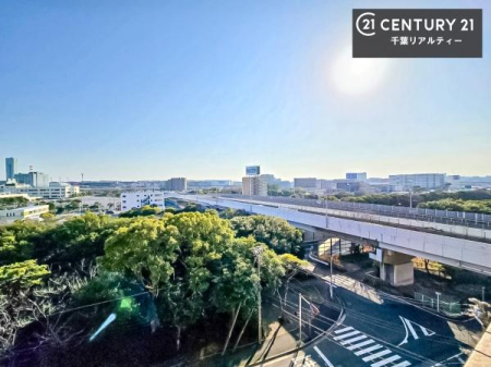 �Z�˂���̒��]�ʐ^ ���]�ǍD�ȃo���R�j�[�B���V�C�̂������ɂ̓o���R�j�[�ւłă��t���b�V������̂������ł��ˁI