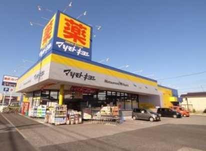 ���ӊ� �y�h���b�O�X�g�A�z�}�c���g�L���V�h���X�F1393m