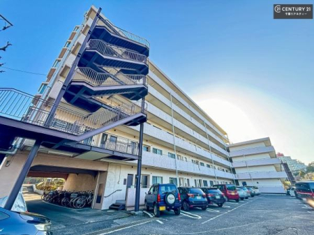 ���̑����n �u���̕����C�ɂȂ�I�v�u�������Ăǂ�ȏ��H�v�u�����Əڂ����m�肽���I�v�Ǝv������A���C�y�ɂ����k���������B