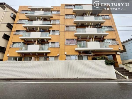 ���̑����n �u���̕����C�ɂȂ�I�v�u�������Ăǂ�ȏ��H�v�u�����Əڂ����m�肽���I�v�Ǝv������A���C�y�ɂ����k���������B