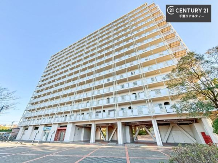 ���̑����n �u���̕����C�ɂȂ�I�v�u�������Ăǂ�ȏ��H�v�u�����Əڂ����m�肽���I�v�Ǝv������A���C�y�ɂ����k���������B