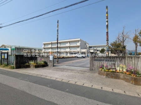 ���ӊ� �y���w�Z�z�s���s����포�w�Z�F1600m