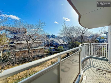 �Z�˂���̒��]�ʐ^ ���ꂽ���ɂ͐�������n����J���I�Ȏ��Ԃ��y���߂܂��B�C�����̗ǂ������ʂ蔲����X���݂ł��I�΂��f���钭�]�Ŗ�����܂��ˁI