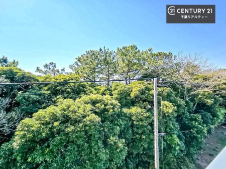 �Z�˂���̒��]�ʐ^ ���ꂽ���ɂ͐�������n����J���I�Ȏ��Ԃ��y���߂܂��B�C�����̗ǂ������ʂ蔲����X���݂ł��I