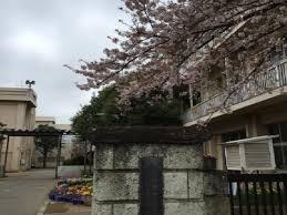 ���ӊ� �y���w�Z�z��t�s���R�����w�Z�F879m