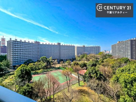 �Z�˂���̒��]�ʐ^ ���]�ǍD�ȃo���R�j�[�B���V�C�̂������ɂ̓o���R�j�[�ւłă��t���b�V������̂������ł��ˁI