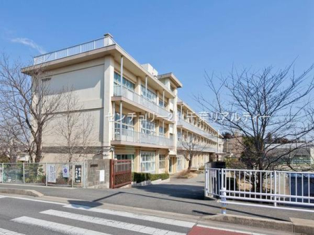 ���ӊ� �y���w�Z�z��t�s����˒��w�Z�F800m