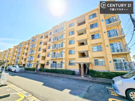 ���n�O�ώʐ^ ���t�H�[���ςł��I�A������������΁A�����w���ł��܂��̂ł��C�y�ɂ��₢���킹���������B���v�]�ɂ��킹�āA��]�̂��Ƃ�K���T���܂��I