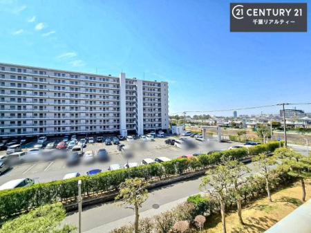 �Z�˂���̒��]�ʐ^ ���]�ǍD�ȃo���R�j�[�B���V�C�̂������ɂ̓o���R�j�[�ւłă��t���b�V������̂������ł��ˁI