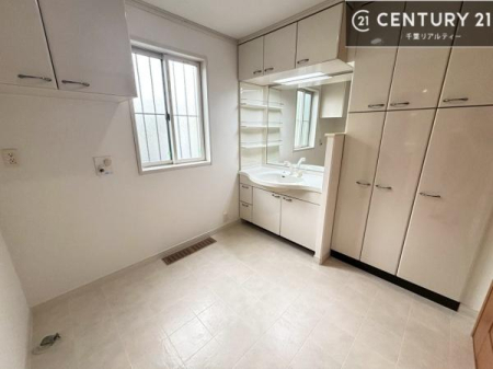 ���ʑ�E���ʏ� ���[�L�x�Ȑ��ʏ��́A�^�I������p�i���������萮���ł��A���ł��������̂����Ԃ�ۂĂ܂��B