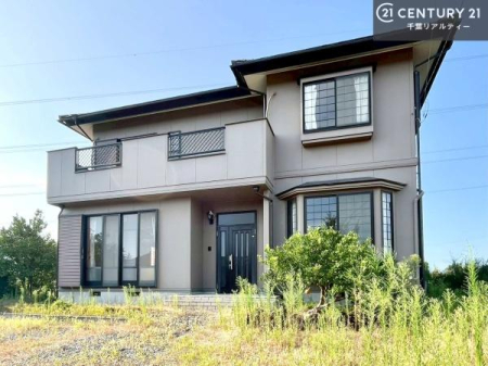 ���̑����n �z������A���ʂ��ǍD�ȗ��n�ł��B���񂨋C�y�ɂ��₢���킹���������B