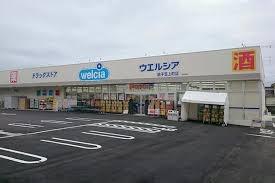 ���ӊ� �y�h���b�O�X�g�A�z�E�G���V�A���q�}�㒬�X�F337m