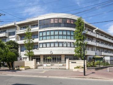 ���ӊ� �y���w�Z�z�s��s�����T���w�Z�F956m