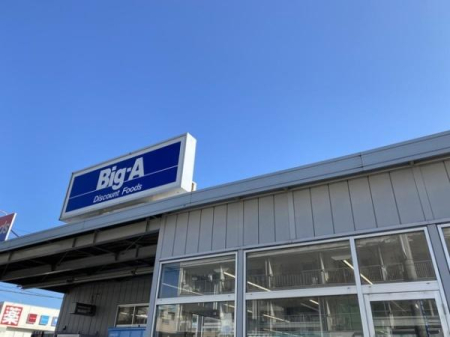 ���ӊ� �y�V���b�s���O�{�݁z�r�b�O�E�G�[����㔪���䐼�X�F1194m