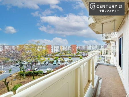 �Z�˂���̒��]�ʐ^ ���]�ǍD�ȃo���R�j�[�B���V�C�̂������ɂ̓o���R�j�[�ւłă��t���b�V������̂������ł��ˁI