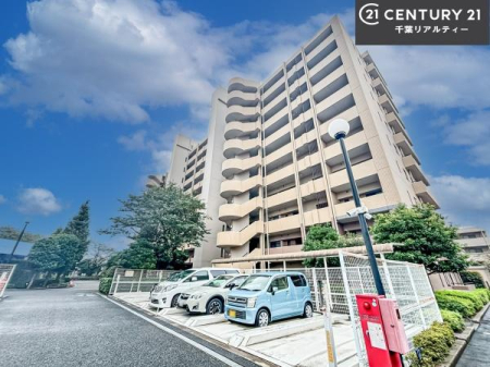 ���̑����n �u���̕����C�ɂȂ�I�v�u�������Ăǂ�ȏ��H�v�u�����Əڂ����m�肽���I�v�Ǝv������A���C�y�ɂ����k���������B