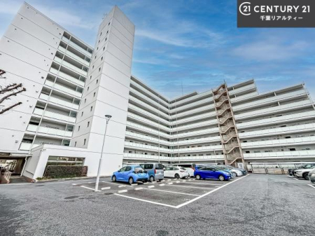 ���̑����n �u���̕����C�ɂȂ�I�v�u�������Ăǂ�ȏ��H�v�u�����Əڂ����m�肽���I�v�Ǝv������A���C�y�ɂ����k���������B