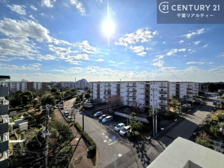 �Z�˂���̒��]�ʐ^ ���]�ǍD�ȃo���R�j�[�B���V�C�̂������ɂ̓o���R�j�[�ւłă��t���b�V������̂������ł��ˁI