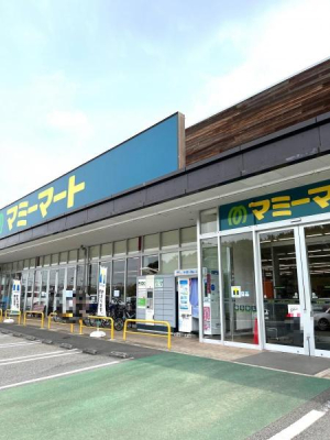 ���ӊ� �y�X�[�p�[�z�}�~�[�}�[�g�_�c�X�F850m