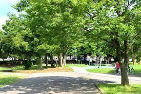 ���ӊ� �y�����z���g�����F563m