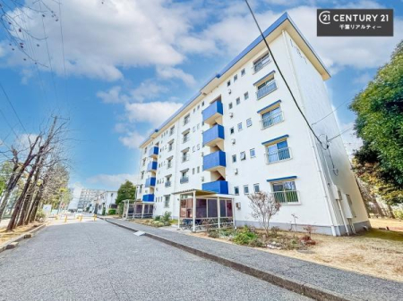 ���̑����n �u���̕����C�ɂȂ�I�v�u�������Ăǂ�ȏ��H�v�u�����Əڂ����m�肽���I�v�Ǝv������A���C�y�ɂ����k���������B