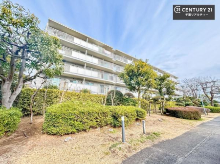 ���n�O�ώʐ^ ���t�H�[���ςł��I�A������������΁A�����w���ł��܂��̂ł��C�y�ɂ��₢���킹���������B���v�]�ɂ��킹�āA��]�̂��Ƃ�K���T���܂��I