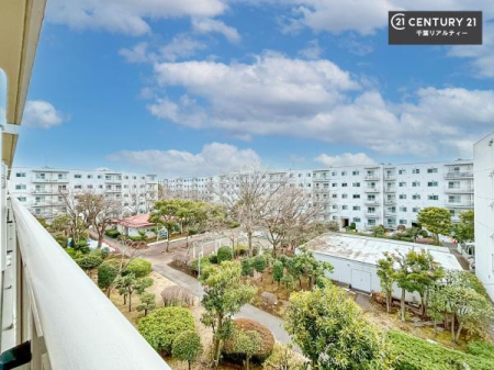 �Z�˂���̒��]�ʐ^ ������������Z��X�ł��I���͂ɂ͍����������Ȃ��A�󂪍L���J����������A�z�������傫���Ղ��邱�Ƃ�����܂���I�C�����̗ǂ������ʂ蔲����X���݂ł��I