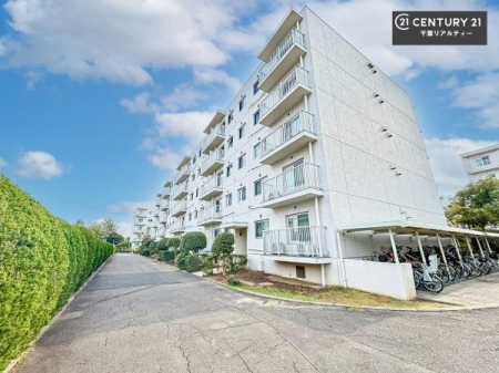 ���̑����n �u���̕����C�ɂȂ�I�v�u�������Ăǂ�ȏ��H�v�u�����Əڂ����m�肽���I�v�Ǝv������A���C�y�ɂ����k���������B