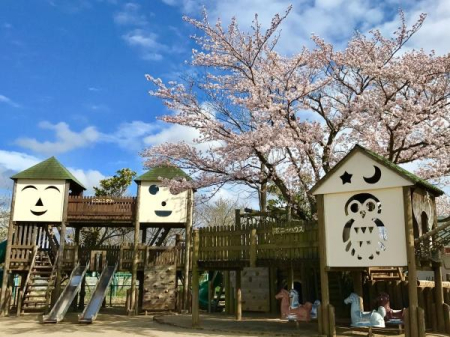 ���ӊ� �y�c�t���E�ۈ牀�z�͂�����c�t���F1676m