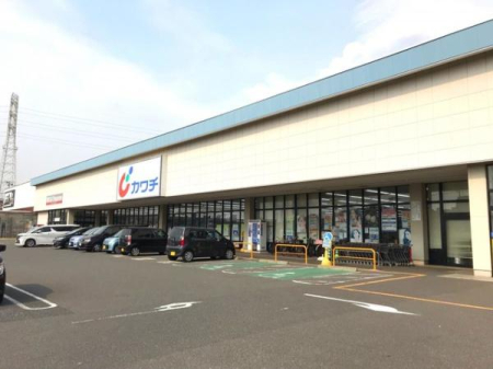 ���ӊ� �y�h���b�O�X�g�A�z�J���`��i�D���؈�X�F320m