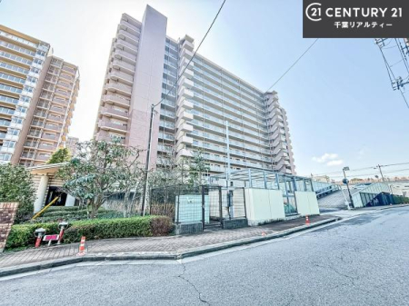 ���̑����n �u���̕����C�ɂȂ�I�v�u�������Ăǂ�ȏ��H�v�u�����Əڂ����m�肽���I�v�Ǝv������A���C�y�ɂ����k���������B