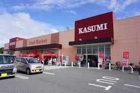 ���ӊ� �y�X�[�p�[�z�J�X�~���X�F1498m